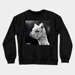 LLAMA LIFE Crewneck Sweatshirt